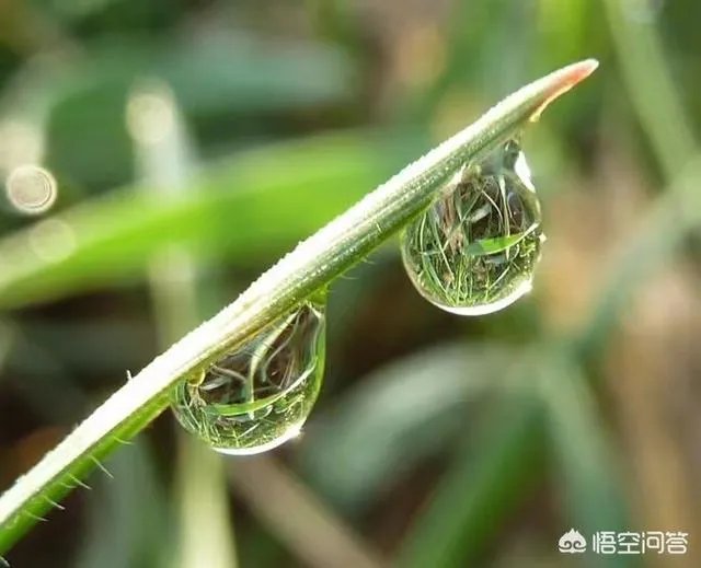 高级拍摄说法