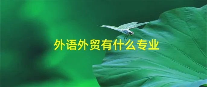 外语外贸有什么专业
