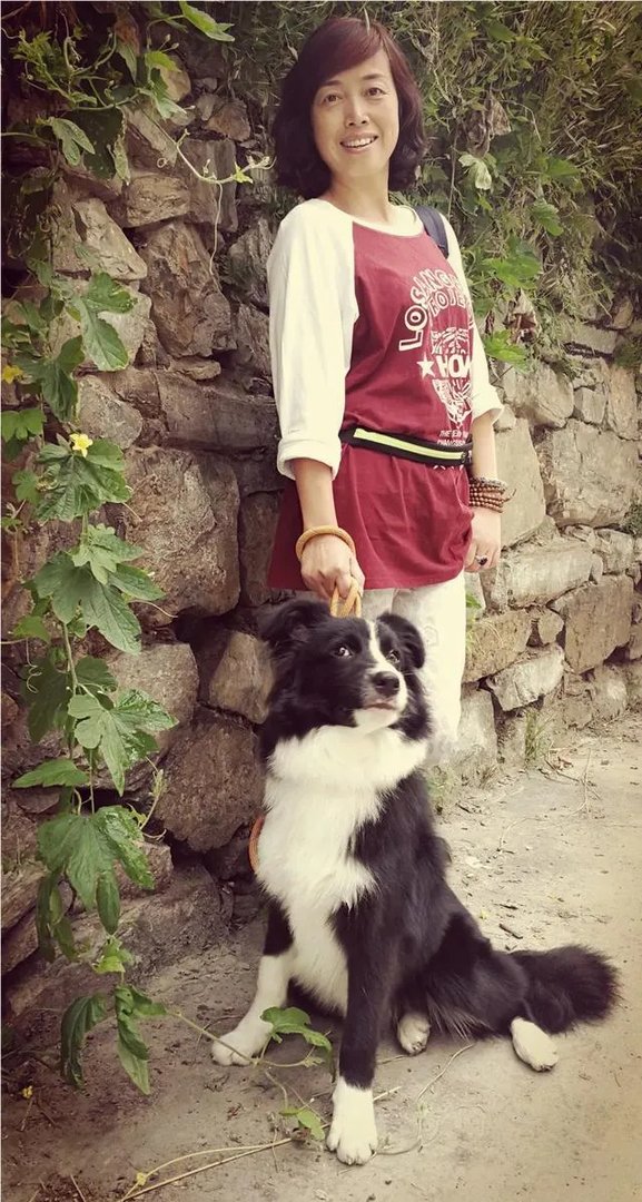 中国最受欢迎的宠物犬是什么犬?