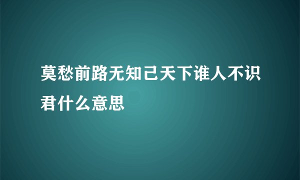 莫愁前路无知己天下谁人不识君什么意思