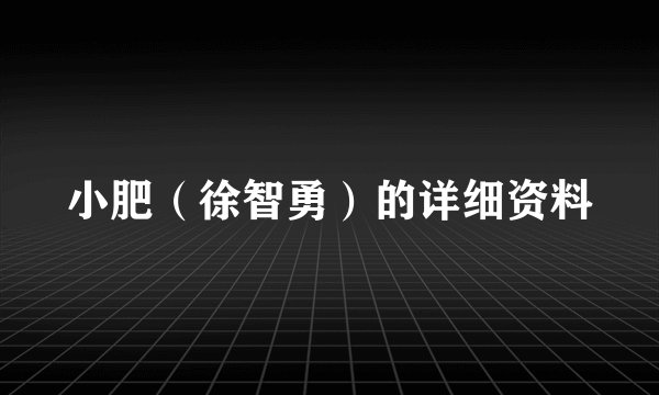 小肥（徐智勇）的详细资料