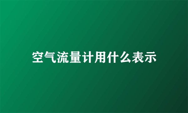 空气流量计用什么表示