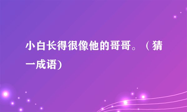 小白长得很像他的哥哥。（猜一成语)