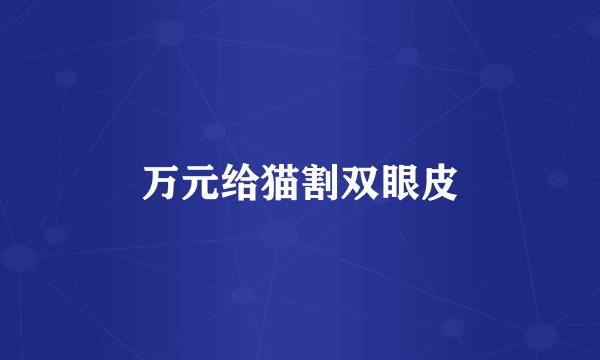 万元给猫割双眼皮