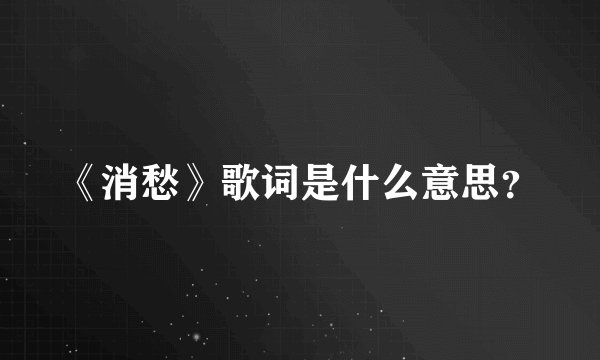《消愁》歌词是什么意思?