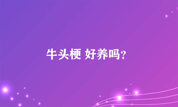 牛头梗 好养吗？
