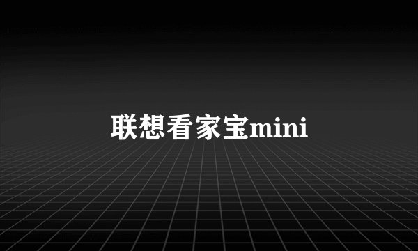 联想看家宝mini