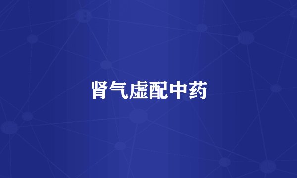肾气虚配中药