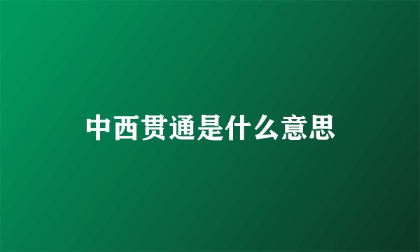 中西贯通是什么意思