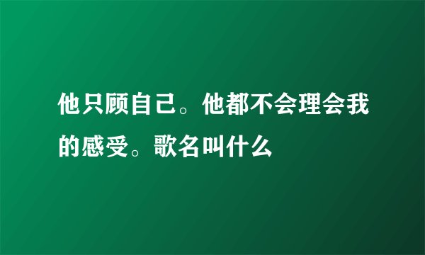他只顾自己。他都不会理会我的感受。歌名叫什么