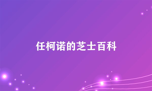 任柯诺的芝士百科