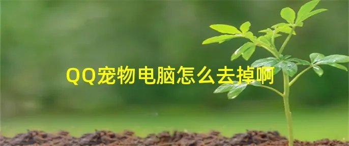 QQ宠物电脑怎么去掉啊