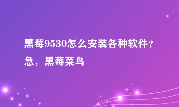 黑莓9530怎么安装各种软件？急，黑莓菜鸟