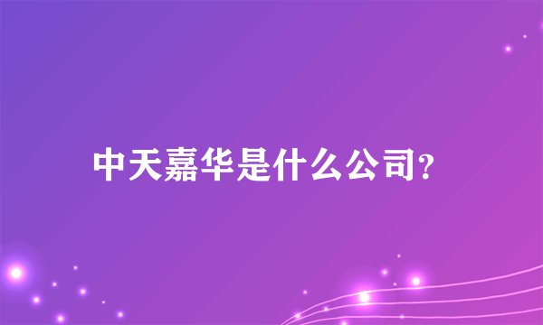 中天嘉华是什么公司？