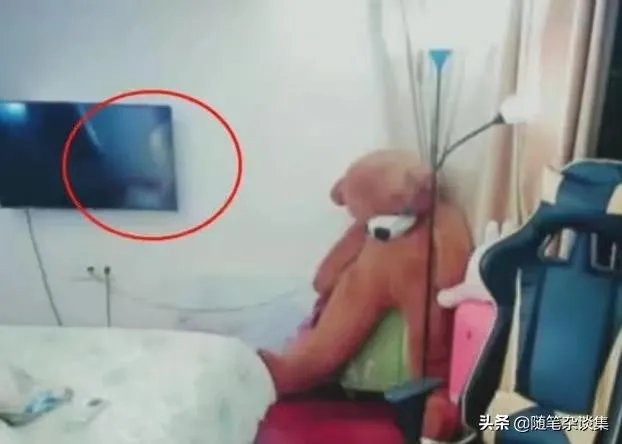 女主播涨粉10万,就是因为房间里有台电视机,你有何看法?
