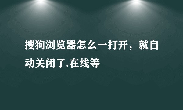 搜狗浏览器怎么一打开，就自动关闭了.在线等