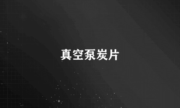 真空泵炭片