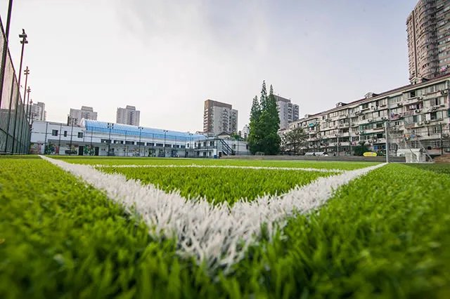 【人造草坪是什么材质】人造草坪的成分结构是什么 原料有哪些