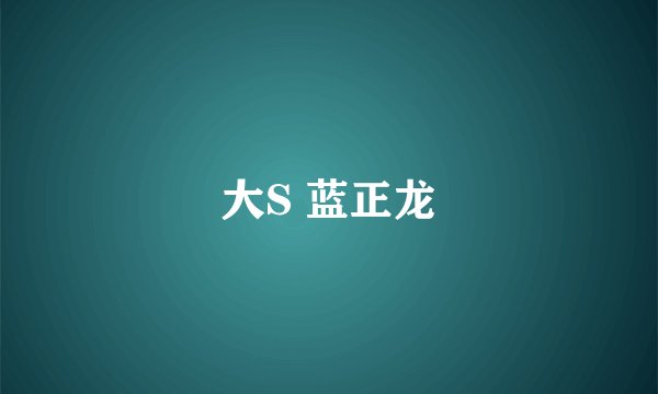 大S 蓝正龙