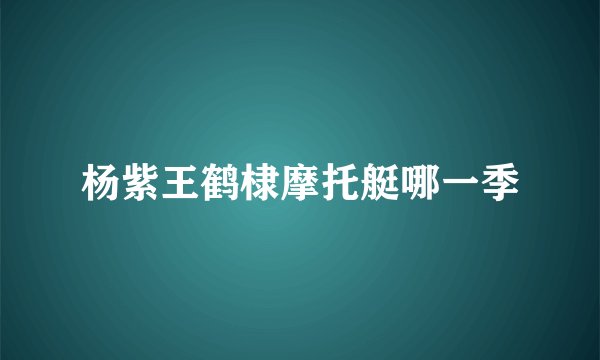 杨紫王鹤棣摩托艇哪一季