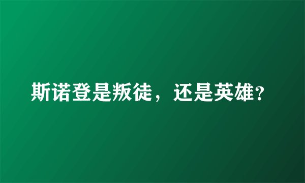 斯诺登是叛徒，还是英雄？