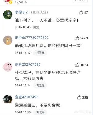 拆迁征地上种菜被推平,大妈报警维权要求赔偿被拒绝,怎么办?