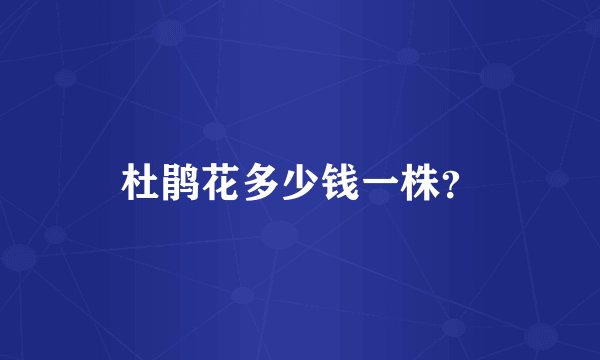 杜鹃花多少钱一株？