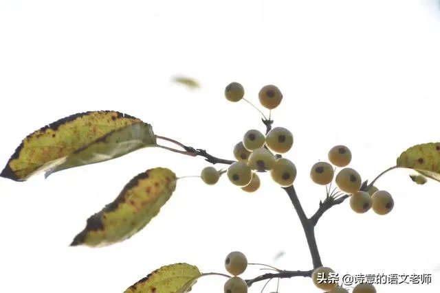 如何看待六部门要求教师不得“拖堂”或提前上课?