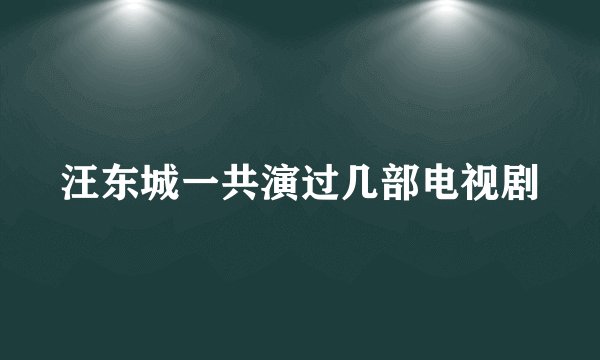 汪东城一共演过几部电视剧