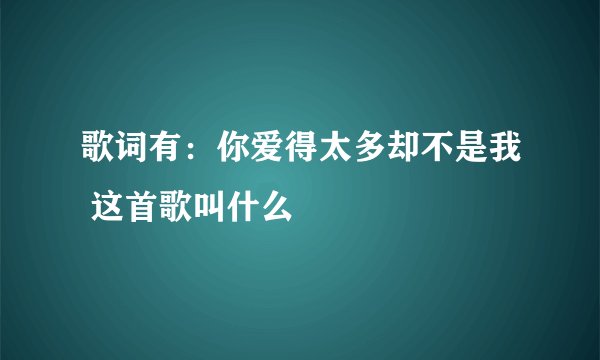 歌词有：你爱得太多却不是我 这首歌叫什么