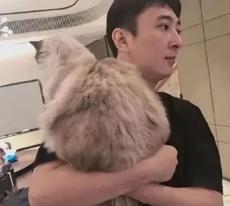 王思聪新女友身份确认21岁的英国名校大学生,这次终于门当户对了吗?