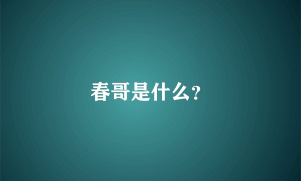 春哥是什么？