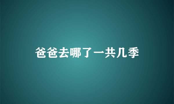 爸爸去哪了一共几季