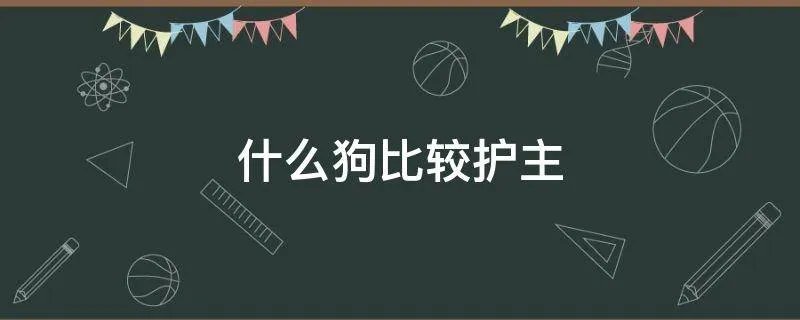 什么狗比较护主