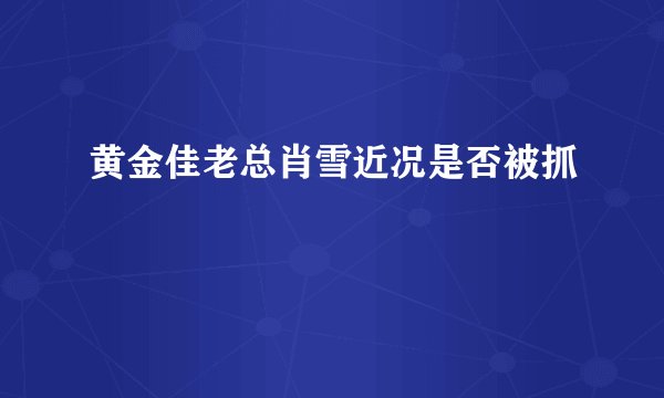 黄金佳老总肖雪近况是否被抓