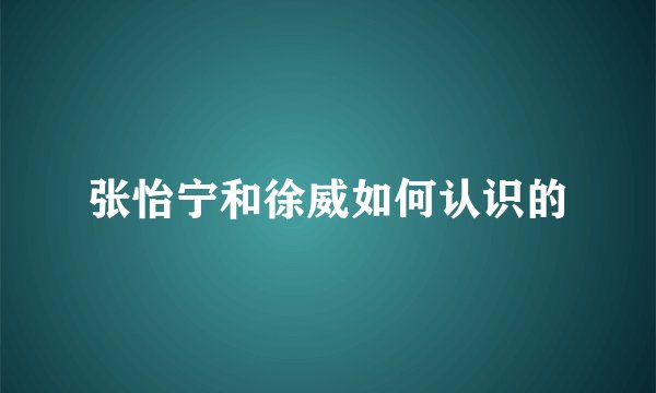张怡宁和徐威如何认识的