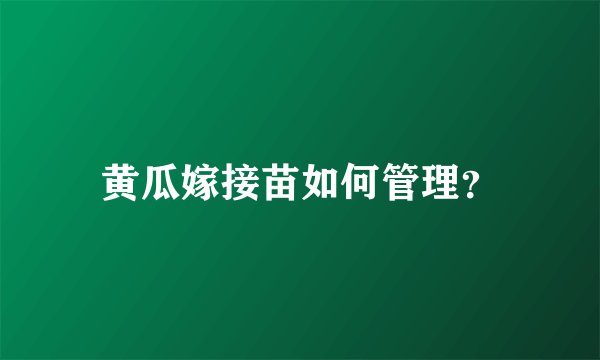 黄瓜嫁接苗如何管理？