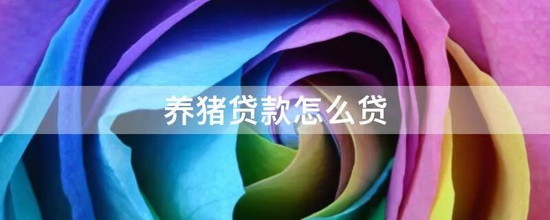 养猪贷款怎么贷