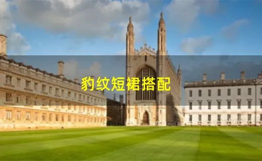 豹纹短裙搭配