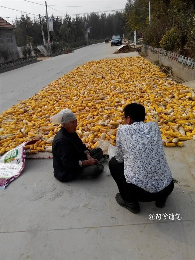 农村没有退休金的老人,该怎么办?