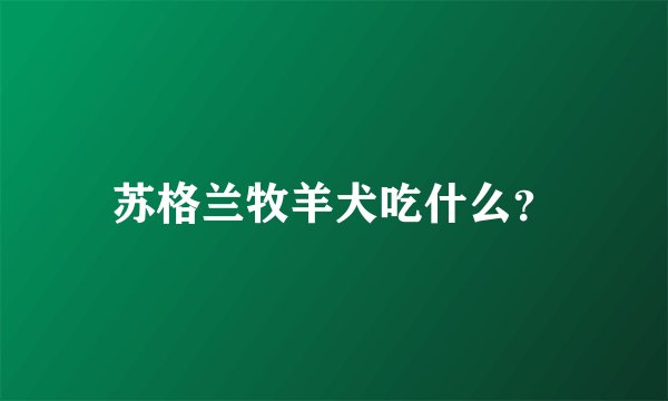 苏格兰牧羊犬吃什么？