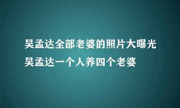 吴孟达全部老婆的照片大曝光吴孟达一个人养四个老婆