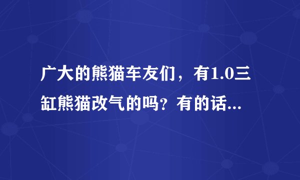 广大的熊猫车友们，有1.0三缸熊猫改气的吗？有的话麻烦分享一下，改了到底怎么样，用的什么系统吗？