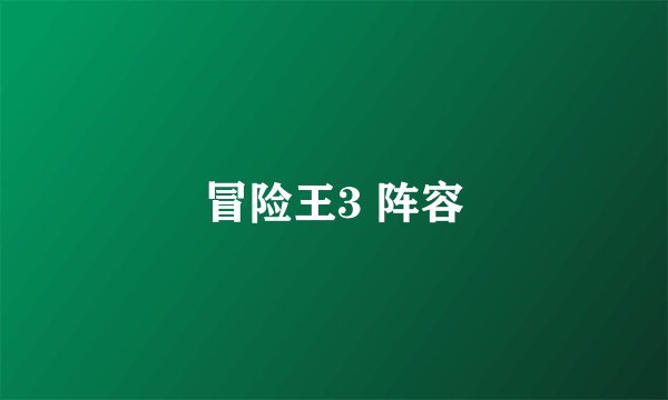 冒险王3 阵容
