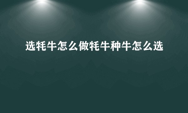选牦牛怎么做牦牛种牛怎么选