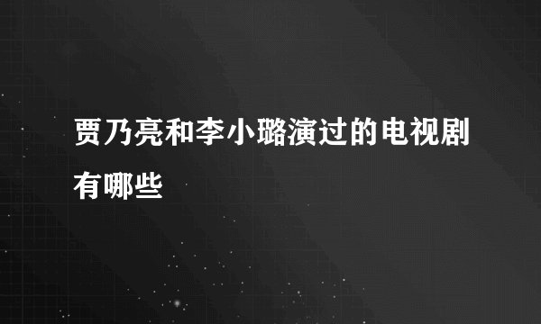 贾乃亮和李小璐演过的电视剧有哪些