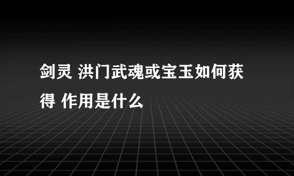 剑灵 洪门武魂或宝玉如何获得 作用是什么