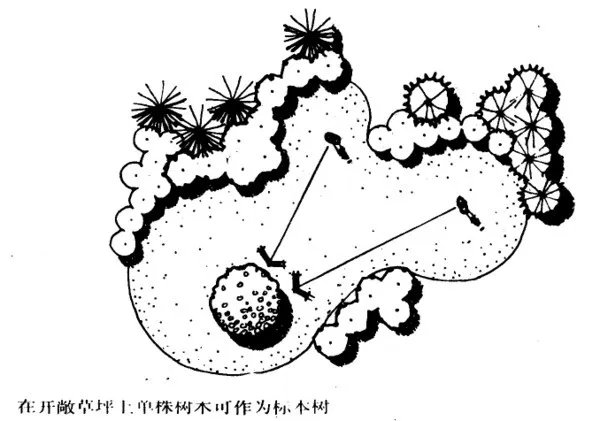 干货 | 庭院植物打造,营造十足空间感