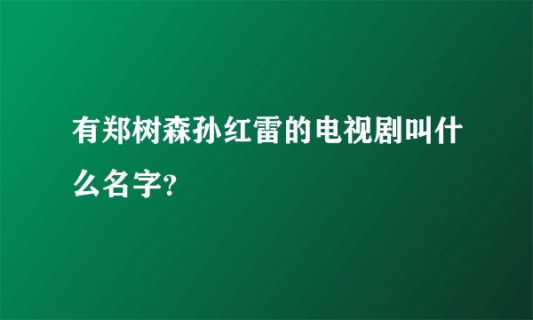 有郑树森孙红雷的电视剧叫什么名字?