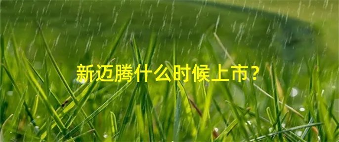 新迈腾什么时候上市？